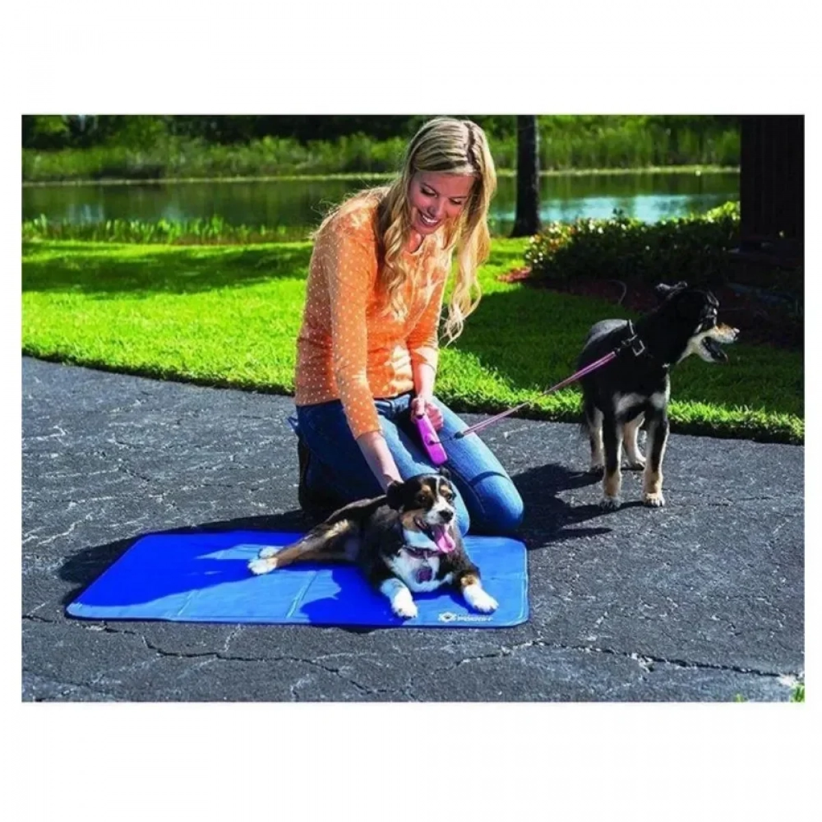 Στρώμα Δροσιάς για Κατοικίδια - Polar Pooch Self Cooling Mat 80x 50cm - Photo7