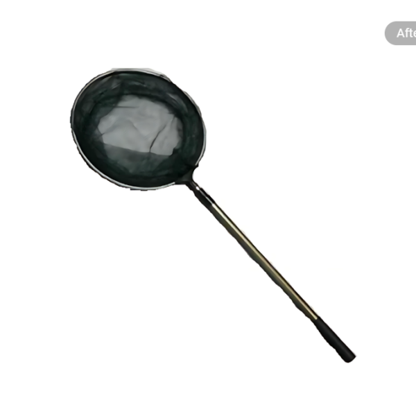 Απόχη ψαρέματος