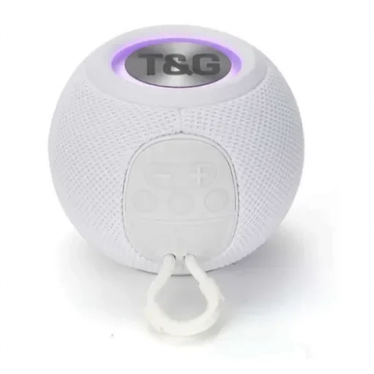 T&G TG-337 Portable Bluetooth speaker white