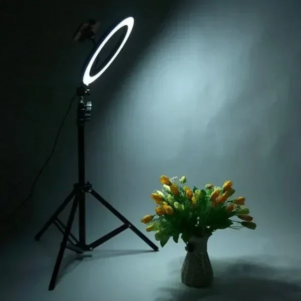 Ring Supplementary Lamp μη πολικός φωτισμός με θήκη κινητού και τηλεχειριστήριο - Image 2