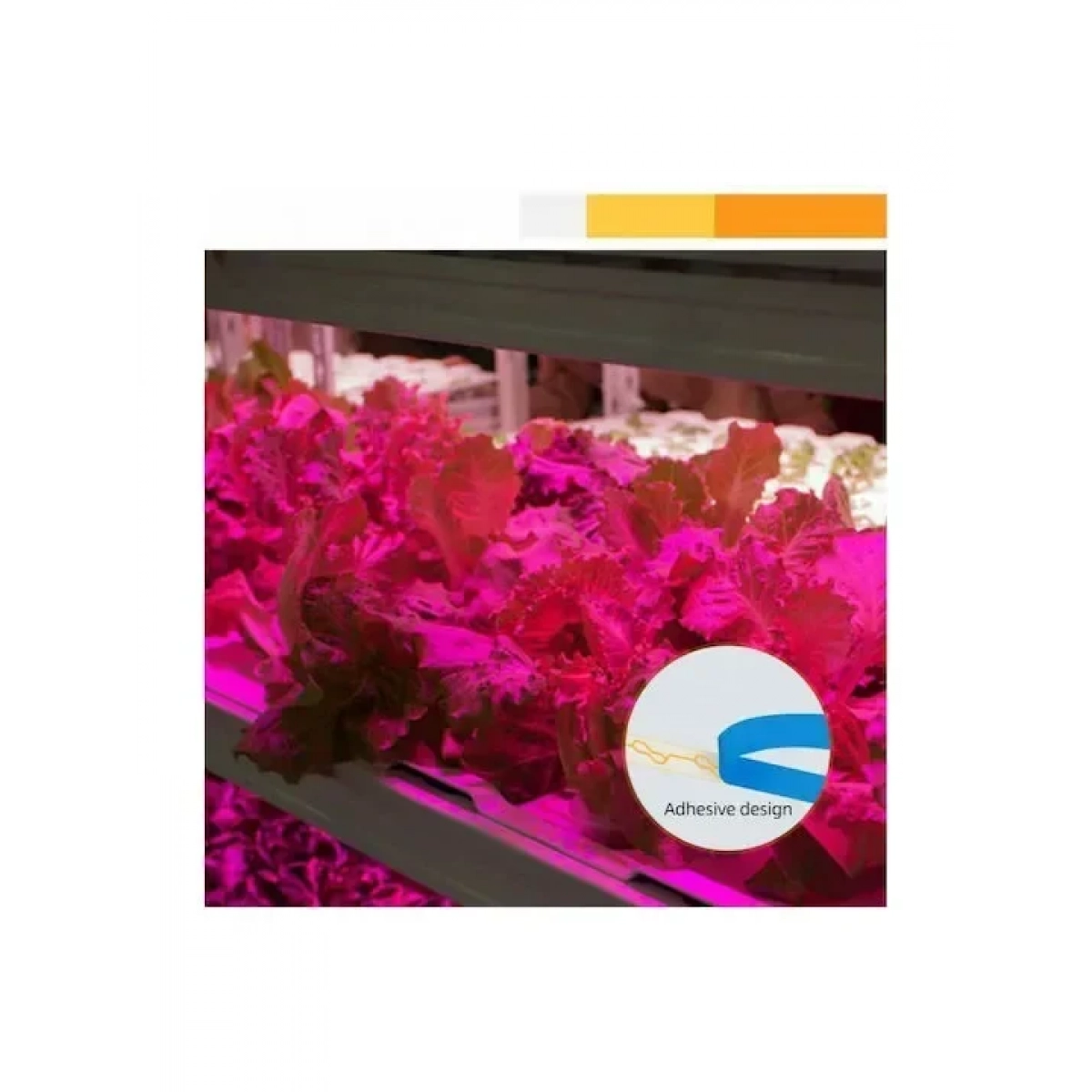 Αυτοκόλλητη Ταινία LED 3m USB Ανάπτυξης & Καλλιέργειας Φυτών Full Spectrum - Φωτιστικό Θερμοκηπίου Εσωτερικού Χώρου - Plant Grow Light Strip - Image 2