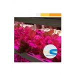 Αυτοκόλλητη Ταινία LED 3m USB Ανάπτυξης & Καλλιέργειας Φυτών Full Spectrum - Φωτιστικό Θερμοκηπίου Εσωτερικού Χώρου - Plant Grow Light Strip - Image 2