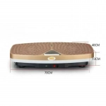 Vibro MDHL Πλατφόρμα Δόνησης Παθητικής Γυμναστικής Χρυσό - Image 2