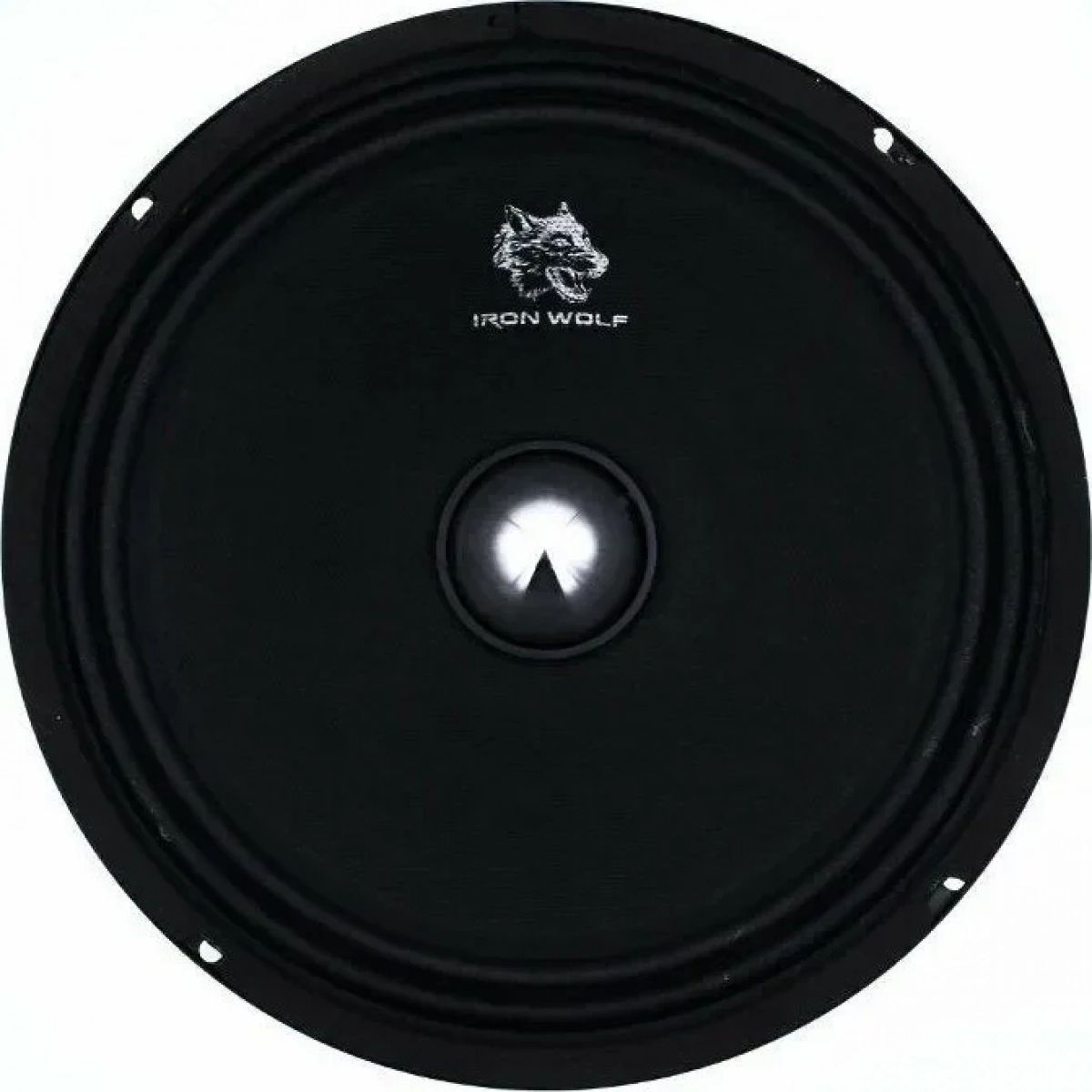 Ηχείο Αυτοκινήτου 10'' 850W FONY CTC-1006