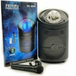 FEIYIPU ES-8000 ΚΑΡΑΟΚΕ ΕΝΙΣΧΥΜΕΝΟ ΗΧΕΙΟ 2000W