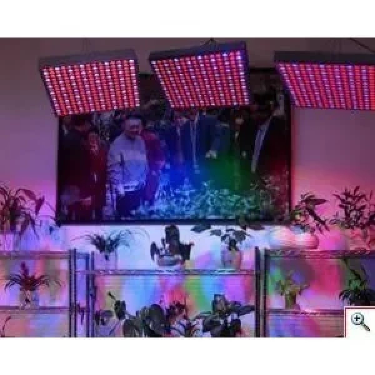 Φωτιστικό Ανάπτυξης Φυτών Πάνελ LED Full Spectrum Λάμπα Θερμοκηπίου - Plant Grow Panel Light - Image 4