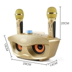 SD-306 Ασύρματο Set Καραόκε με 2 Μικρόφωνα & Ηχείο 20W – Bluetooth, USB, microSD - Χρυσό