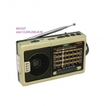 Φορητό ραδιόφωνο mp3 player & ασύρματη σύνδεση RS-6633UT χρυσό