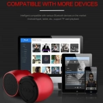 Ασύρματο ηχείο bluetooth 5W με ραδιόφωνο Treqa YT-568 γκρι