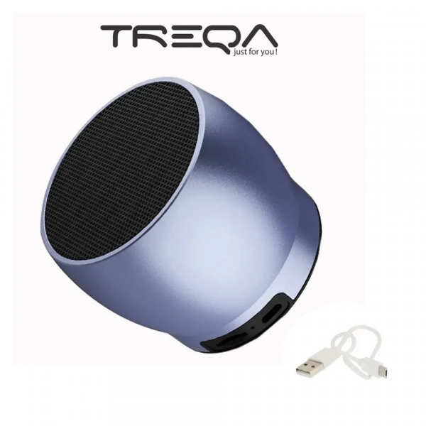 Ασύρματο ηχείο bluetooth 5W με ραδιόφωνο Treqa YT-568 γκρι