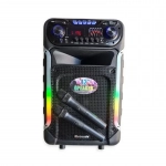 Meirende MR-201 Φορητό Ηχείο 12″ με 2 Ασύρματα Μικρόφωνα