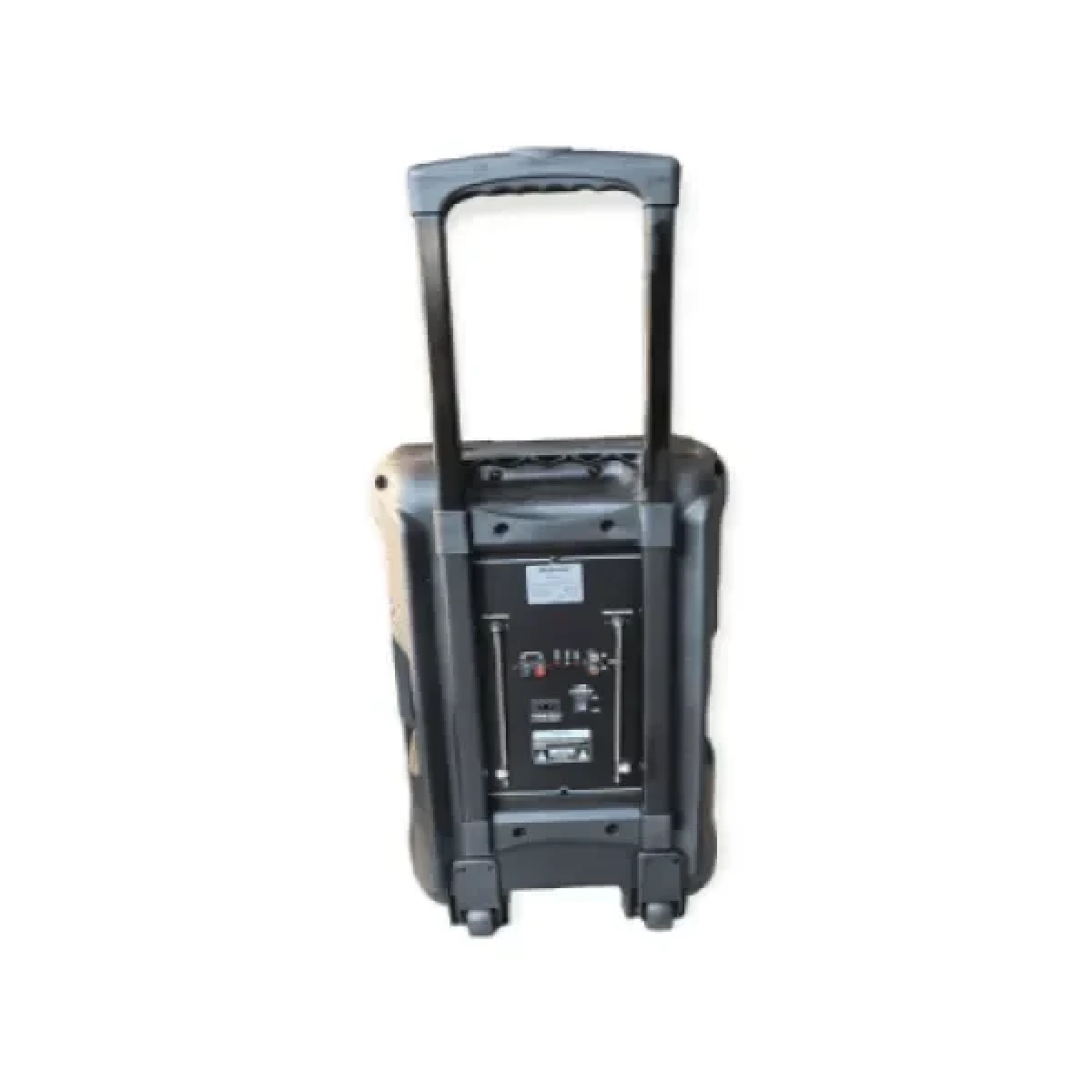 Meirende MR-201 Φορητό Ηχείο 12″ με 2 Ασύρματα Μικρόφωνα