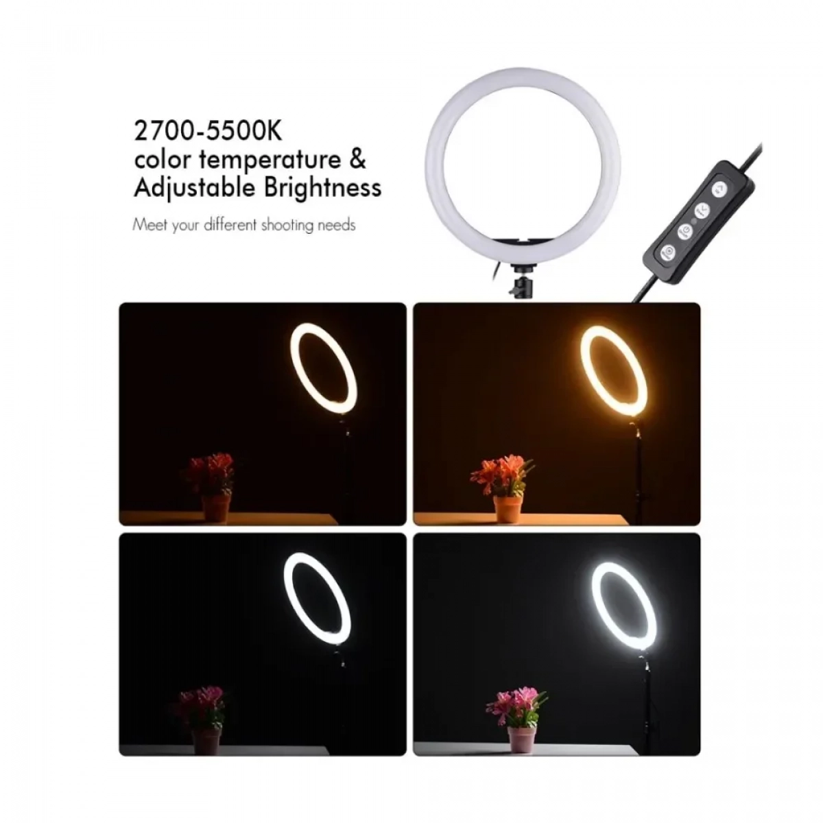 Ring Light QX300 30cm με Βάση για Κινητό