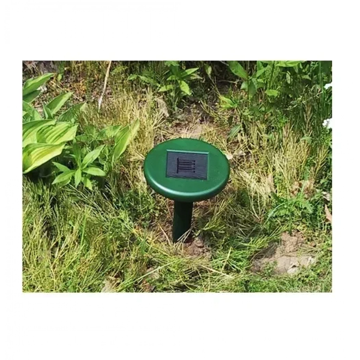 Solar Rodent Repeller Πάσσαλος Απώθησης Τρωκτικών - Image 5