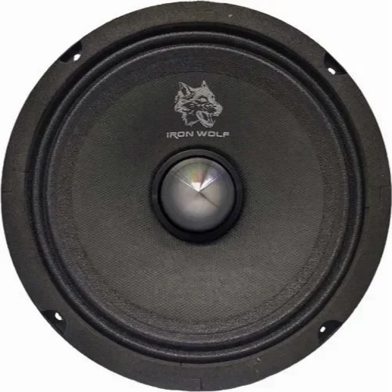 Ηχείο αυτοκινήτου 200W RMS Midrange 6.5″ FONY CTC-606
