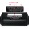 Φορητό ασύρματο ηχείο Bluetooth με μικρόφωνο RM-S8500 - Μαύρο