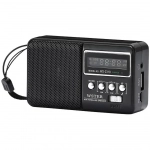 WSTER WS-2319 Φορητό Ραδιόφωνο Επαναφορτιζόμενο με Bluetooth και USB Μαύρο