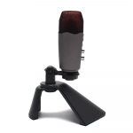 ΕΠΑΓΓΕΛΜΑΤΙΚΟ ΜΙΚΡΟΦΩΝΟ ANDOWL Q-MIC995
