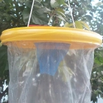 Fly Bag Trap Catcher - Σακούλα Παγίδευσης Μυγών 1 τμχ