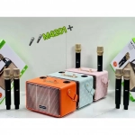 Ηχείο Karaoke Bluetooth Boom Bass M4201+ με 2 μικρόφωνα Ροζ