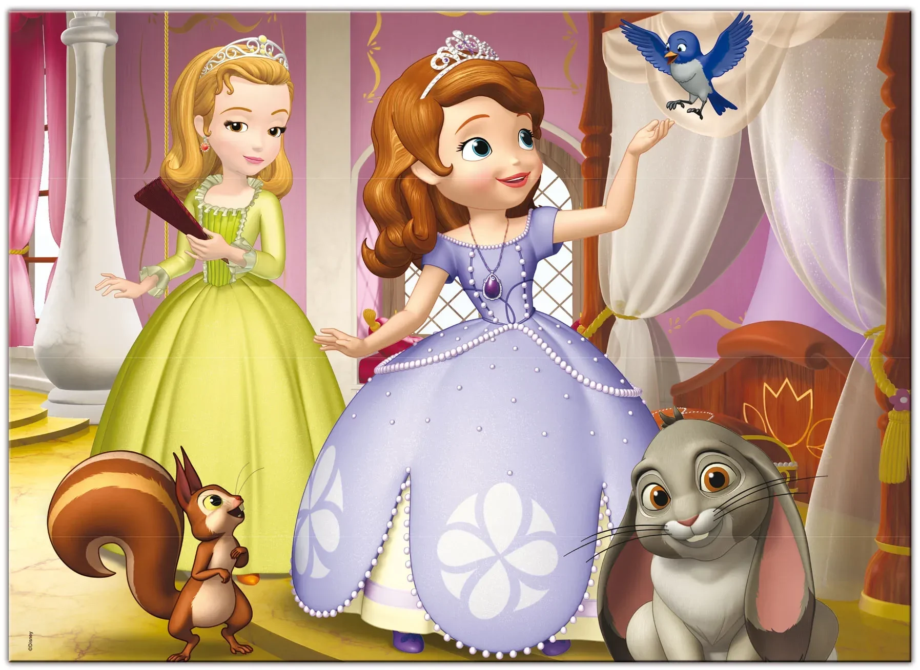 DISNEY PUZZLE DF MAXI FLOOR 60 SOFIA | G for Gadget