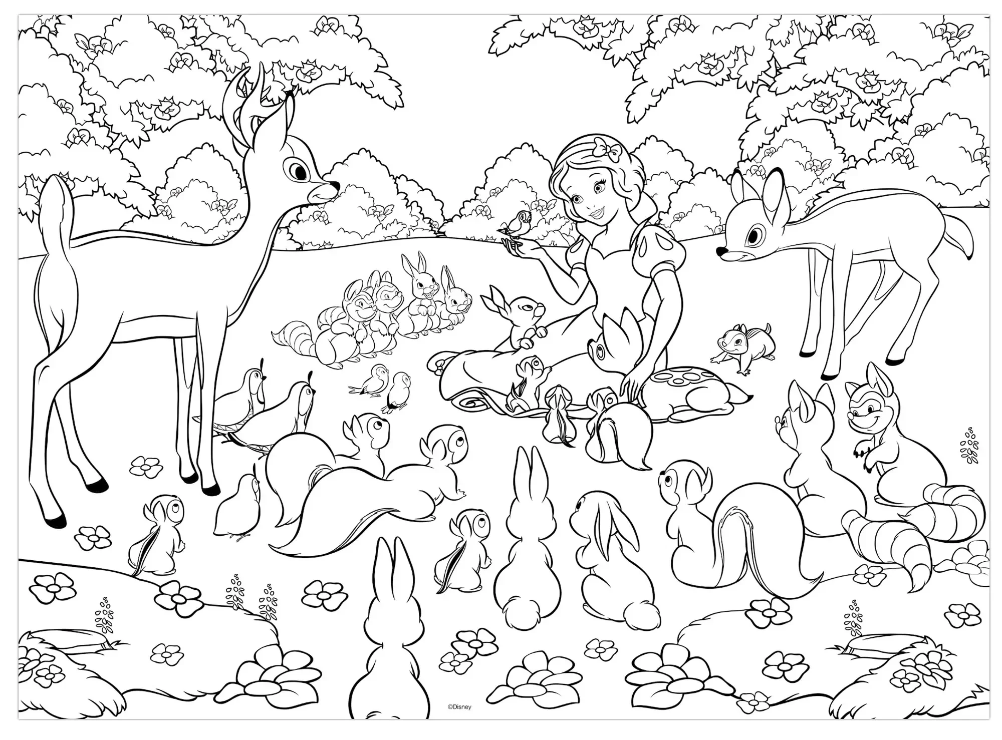 DISNEY PUZZLE DF MAXI FLOOR 60 SNOW WHITE | G for Gadget