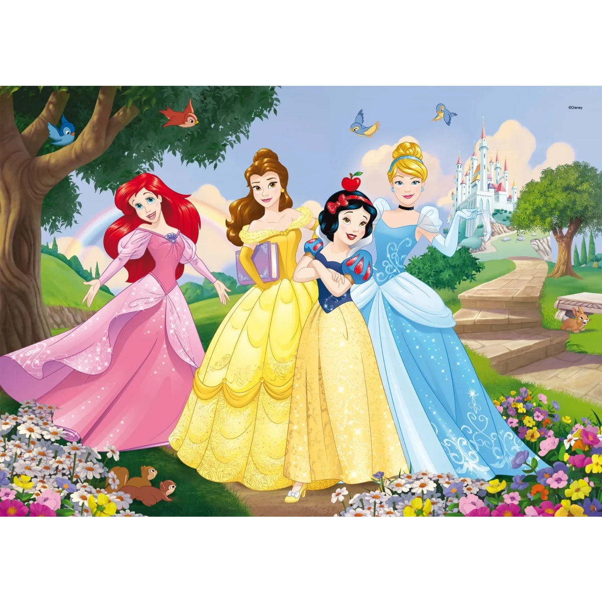 DISNEY PUZZLE DF MAXI FLOOR 35 PRINCESS