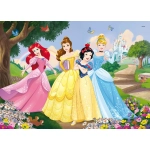 DISNEY PUZZLE DF MAXI FLOOR 35 PRINCESS