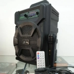 Φορητό Ασύρματο Ηχείο 8'' Bluetooth με Μικρόφωνο BT-1902