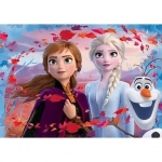 PUZZLE DF PLUS 60 FROZEN