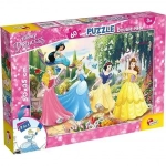 PUZZLE DF PLUS 60 - 5 ΠΡΙΓΚΙΠΙΣΣΕΣ