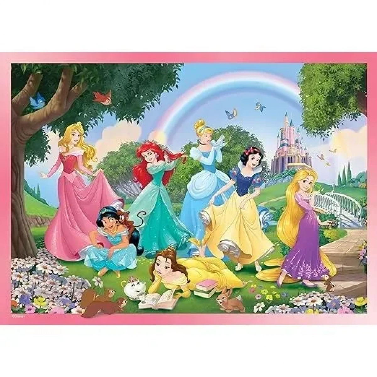 DISNEY PUZZLE DF MAXI FLOOR 108 PRINCESS - RAINBOW WORLD