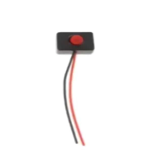 Κουμπί Διακόπτης με καλώδια 12-24V 110-240V