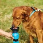 Πλαστικό μπουκάλι νερού 500ml για κατοικίδια μπλε - Image 2