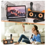 Σύστημα Karaoke με ασύρματα μικρόφωνα και SD, USB, AUX, TF SD-305 μαύρο - Image 2