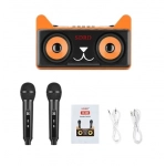 Σύστημα Karaoke με ασύρματα μικρόφωνα και SD, USB, AUX, TF SD-305 μαύρο