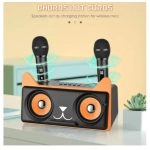 Σύστημα Karaoke με ασύρματα μικρόφωνα και SD, USB, AUX, TF SD-305 μαύρο - Image 3