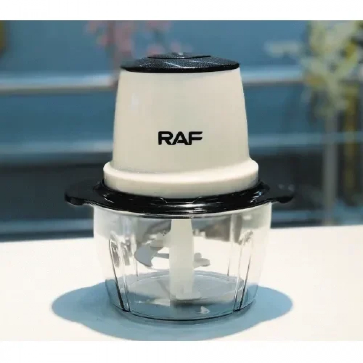 Πολυκόπτης multi 450W με δοχείο 2Lt RAF R.7006