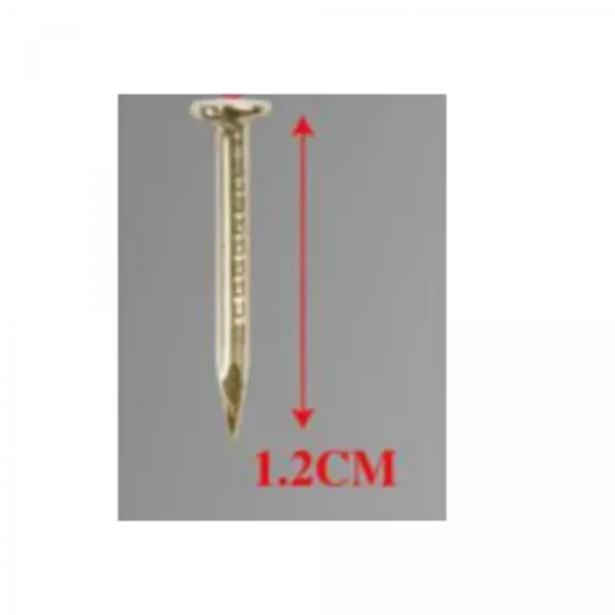 Σετ Καρφιά με Επίπεδη Κεφαλή 1.2x12mm 35g σε Χρυσό Χρώμα Bossram 683706