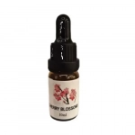 Αιθέριο Έλαιο Essential Oil 10ml Y10C-5 Άνθη Κερασιάς