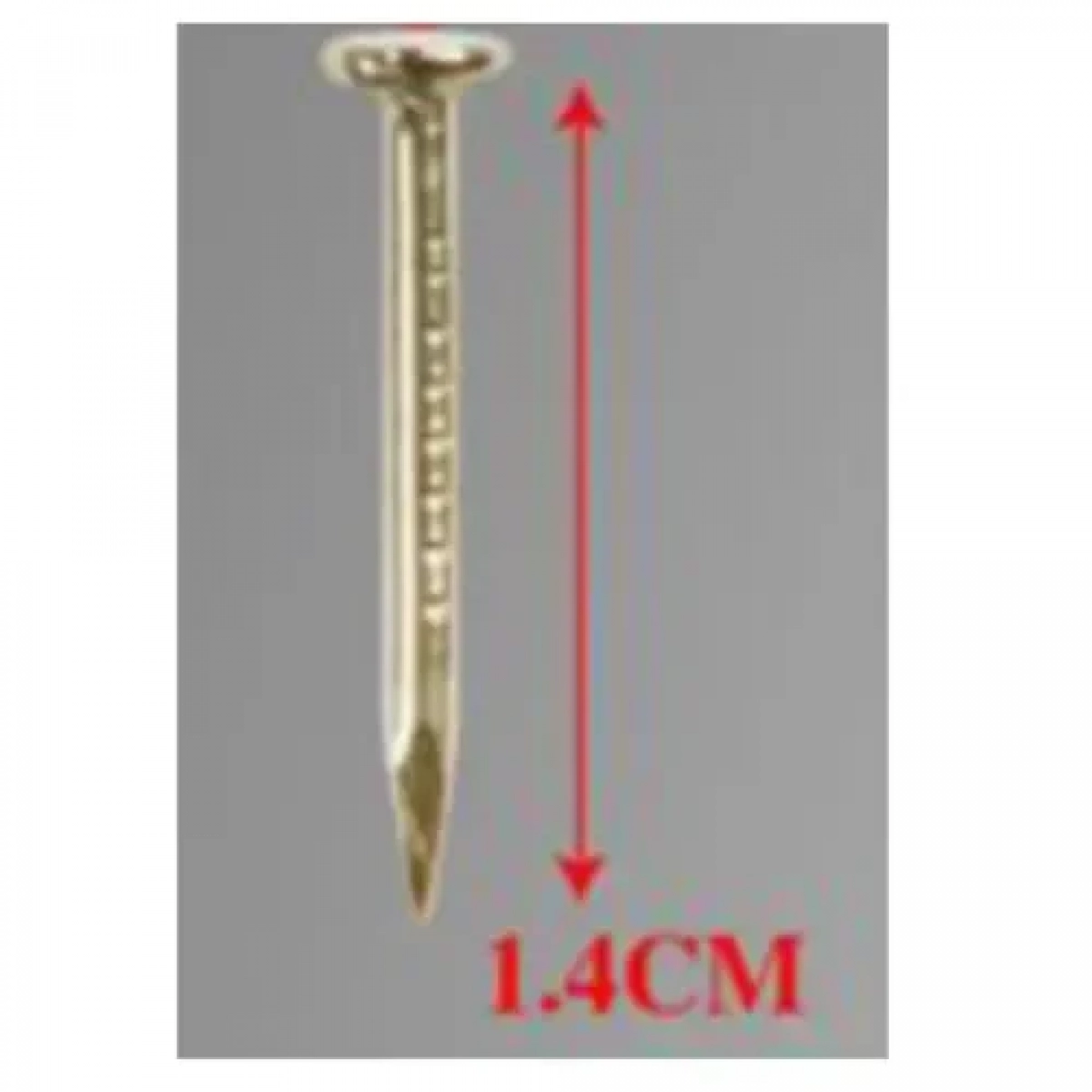 Σετ Καρφιά με Επίπεδη Κεφαλή 1.2x14mm 35g σε Χρυσό Χρώμα Bossram 683707