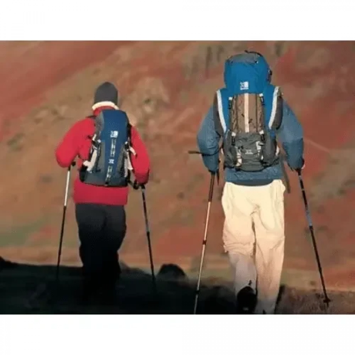 Πτυσσόμενο Μπατόν Ορειβασίας 63-135 cm Hiking Pole SDS-18775