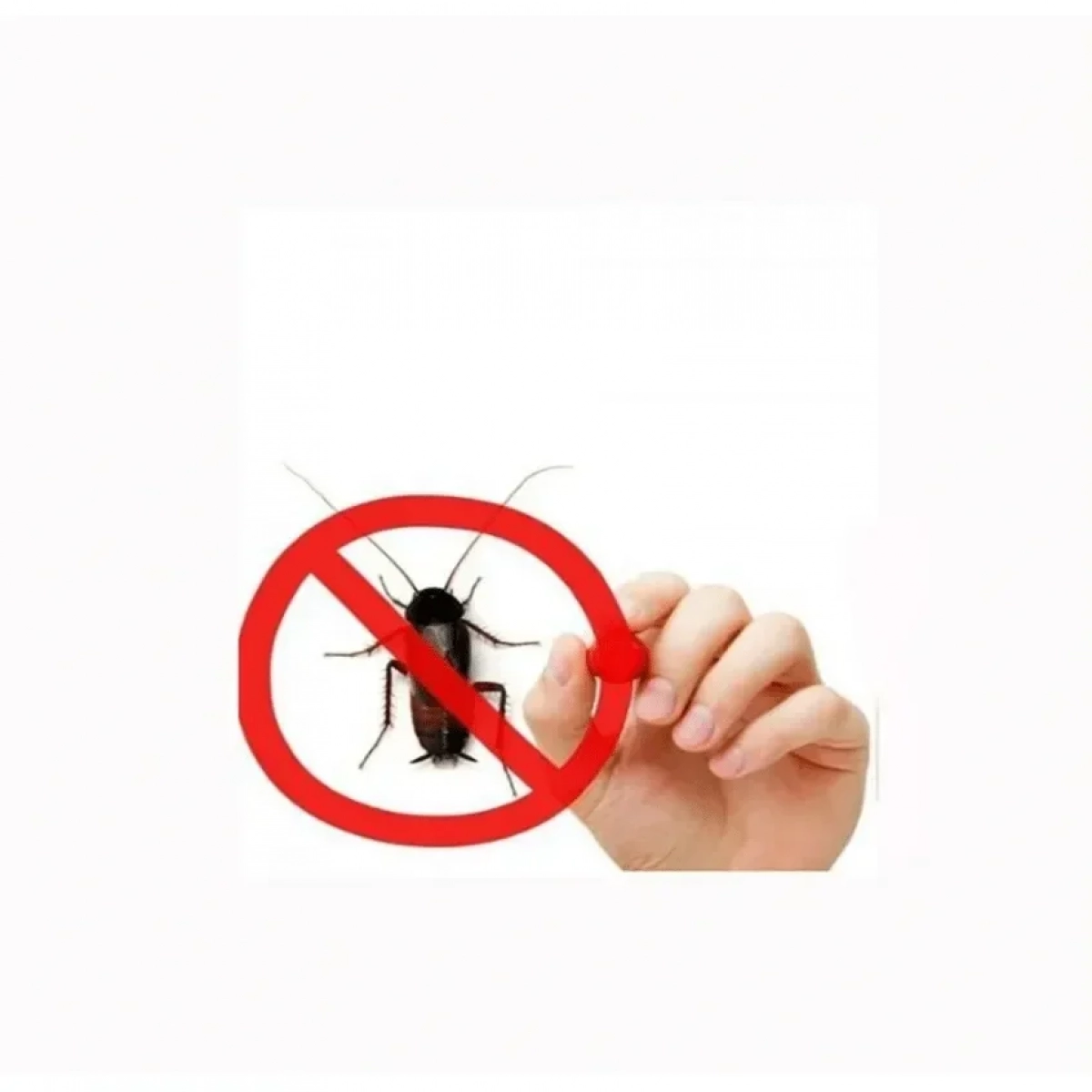 Ισχυρό Κατσαριδοκτόνο Τζελ Δόλωμα 10g - Glue Cockroach Killing Bait