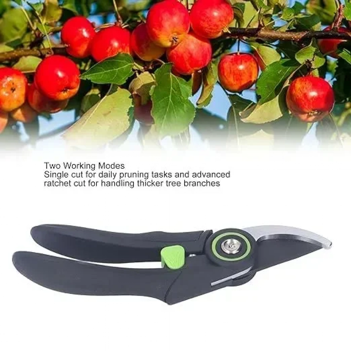Ψαλίδι Κλαδέματος KMT tools 8435674848733