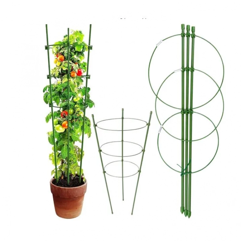 Σετ Βέργα Στήριξης Φυτών 75cm Με Δακτύλιο 3 Τεμάχια