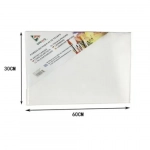 Καμβάς Ζωγραφικής Λευκός σε Τελάρο 30x60x1.6 cm 15145