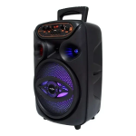 Πολυλειτουργικό Ηχειο Bluetooth Karaoke FM Radio 20W LED GTS-1700