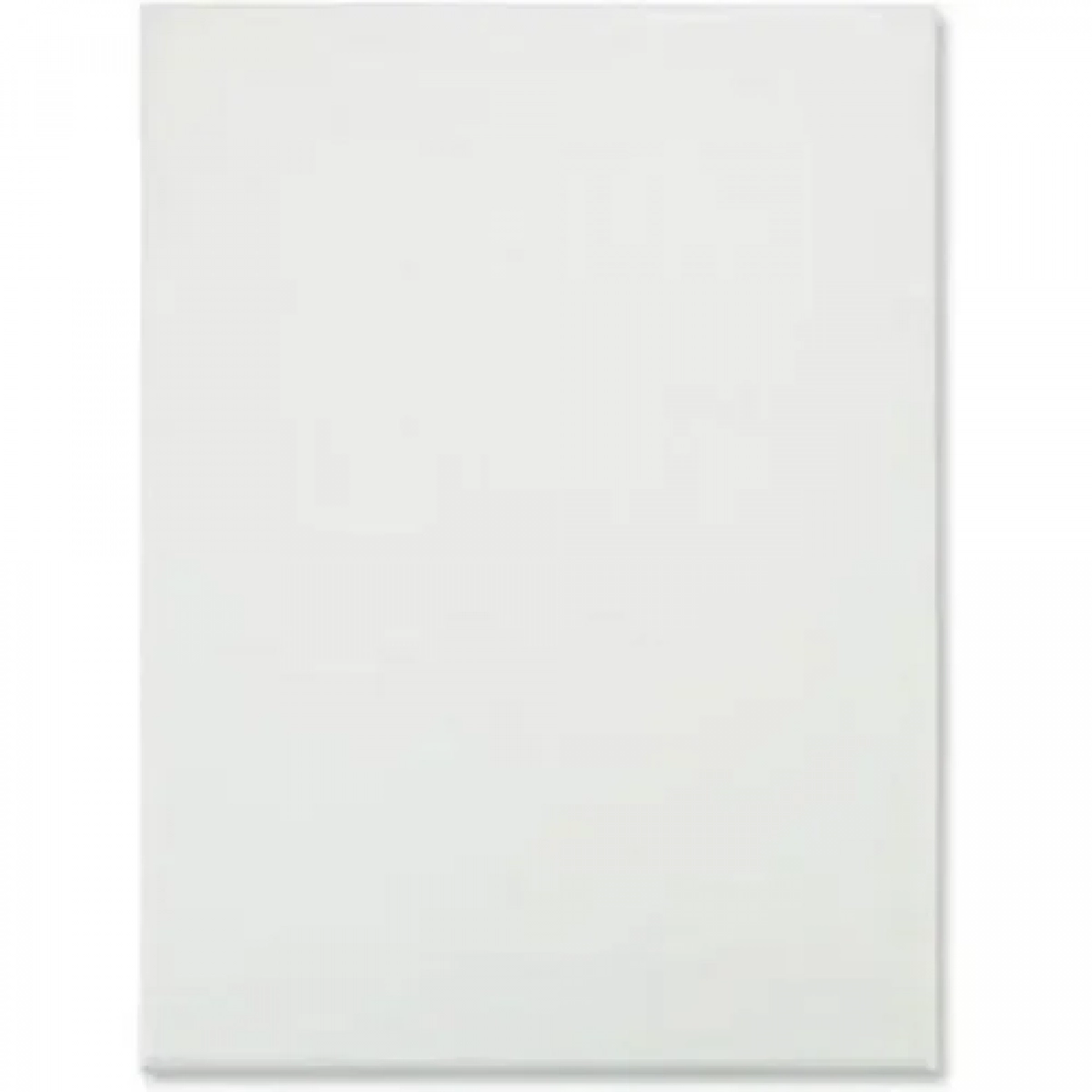 Καμβάς Ζωγραφικής Λευκός σε Τελάρο 40x100x1.6 cm 15156