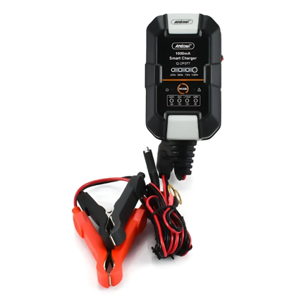 Φορτιστής μπαταρίας αυτοκινήτου 12V Andowl Q-DP077