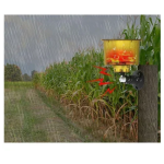 Ηλιακός συναγερμός εξωτερικού χώρου Solar Alarm Pir Outdoor Andowl Q-BJ900 κίτρινο - Image 4